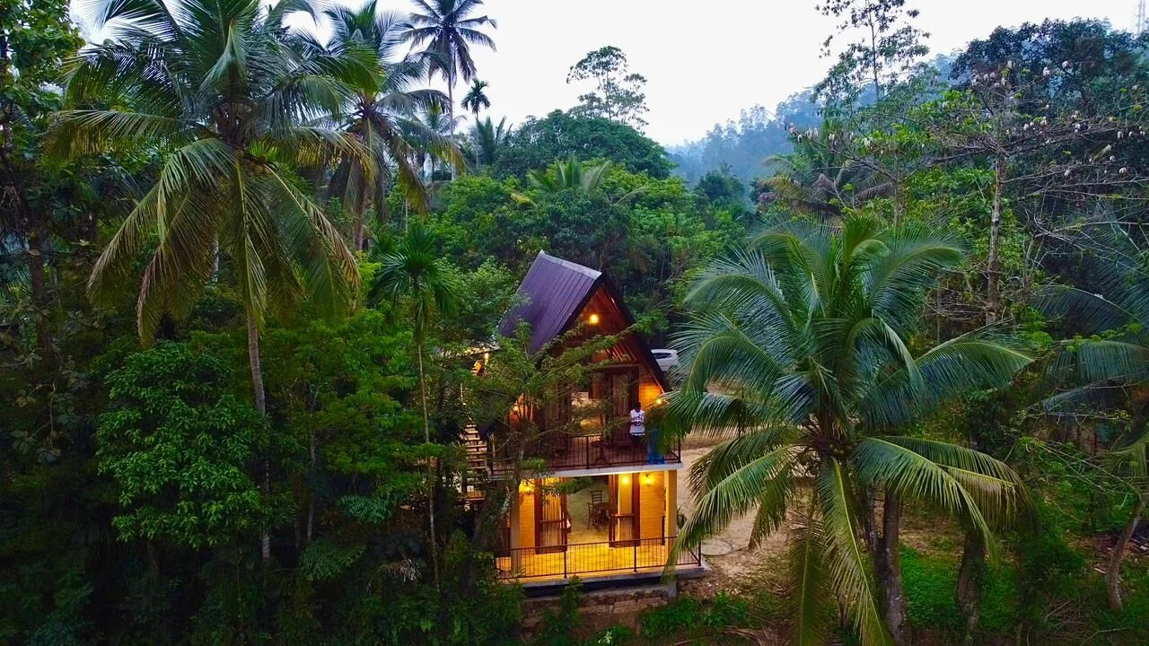 The Natural Cabin - Sustainable Luxury Eco Cabin in Sinharaja