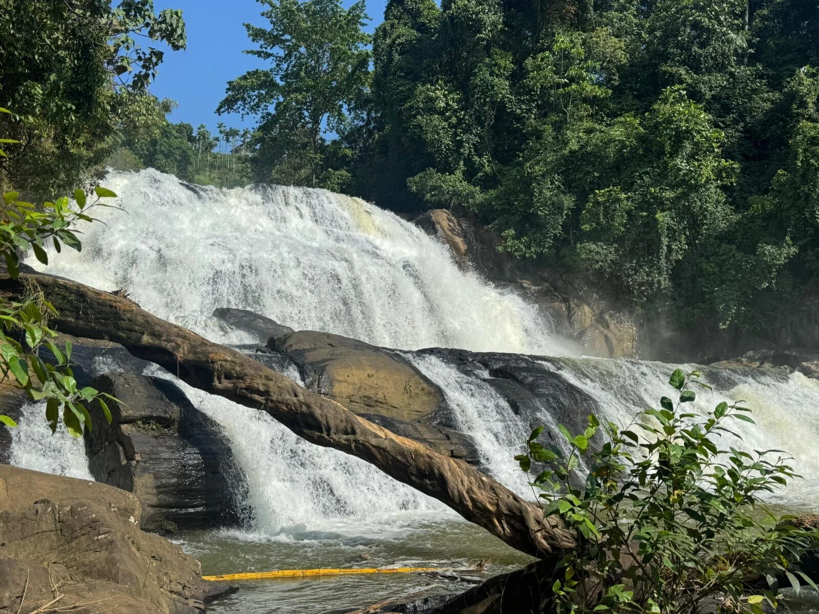 Luxury Hotel in Sinharaja - Cascading Beauty Waterfall Tour